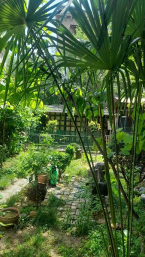 Gardens in Vake, Tbilisi